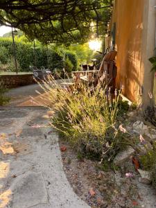 B&B / Chambres d'hotes La Fanette de Lure : photos des chambres