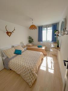 Maisons de vacances Gite des Papillons & Brocante : photos des chambres
