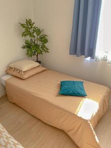 Gîte des Papillons & Brocante