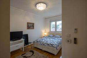 Belgrade Center Apartment Lux III