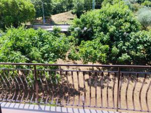 Radice Libera - Casa di campagna