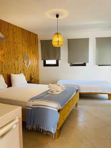 Studios Galini Porto Koufo