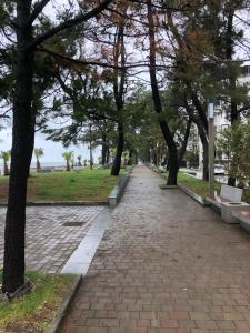 cool flat with 2 rooms on the beach