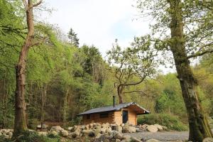 Woodcutters Cabin Authentic Log Cabin Talybont Aberystwyth SY245DW