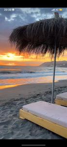 Apartamente luxury shengjin