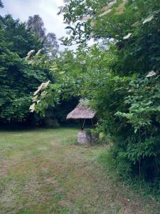 Maisons de vacances Chaumiere normande : photos des chambres