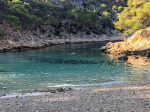 Appartements Appart. 4 pers a 6 Kms de Cassis avec acces piscine : photos des chambres