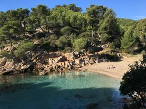 Appartements Appart. 4 pers a 6 Kms de Cassis avec acces piscine : photos des chambres