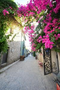 Usta x Çırak Butik Otel