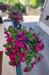 Il Sogno di Mariolina