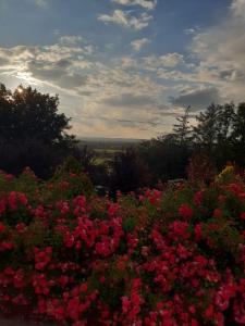 mature 4 bedroom home with relaxing garden and wonderful views