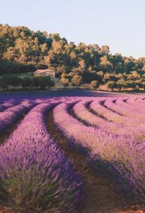 Maison de Village - 56 m2 - Valensole