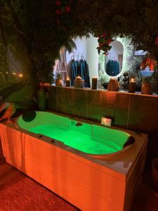 B&B / Chambres d'hotes Lodge de la Jungle avec Spa : photos des chambres