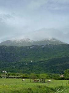 Waves & Peaks Apartment