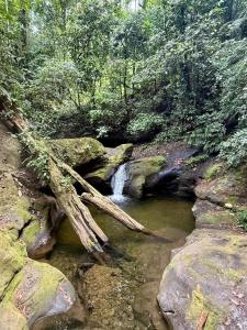 Air conditioned home with full kitchen, TV and parking