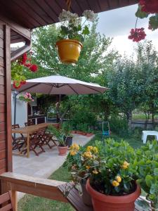 Vila "Livia"