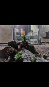 Residencial Branchini Suíte 03