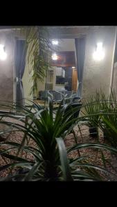 Residencial Branchini Suíte 03