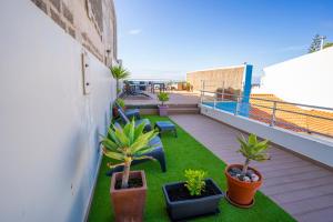 Hostel AzorAzul - Pool & Suite