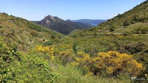 Maisons de vacances Pyrenees Mon Amour : photos des chambres