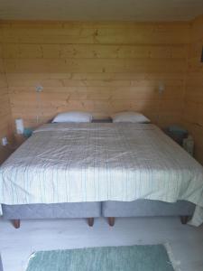 Aittamajotus casinonsaari