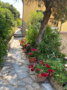 Casa per vacanze Anna img32