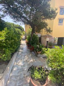Casa per vacanze Anna img34