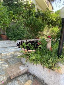 Casa per vacanze Anna img35