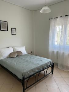 The middle apartment