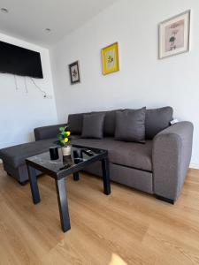 Appartements Chaleureux studio central : photos des chambres