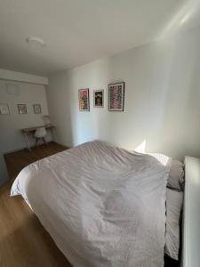 Appartements Chaleureux studio central : photos des chambres