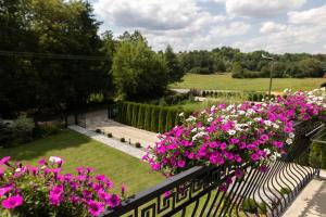 Agroturystyka pod Wierzbą - piękne widoki nad rzeką