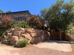 Maisons de vacances CASA JEANATA : photos des chambres