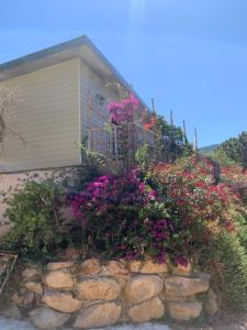 Maisons de vacances CASA JEANATA : photos des chambres