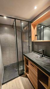 Appartements Apartment proche Futuroscope : photos des chambres