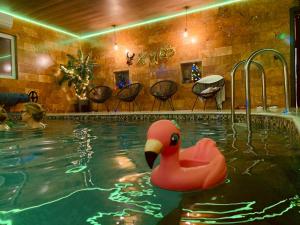 Cabana Moldovan Baisoara cu piscina interioara, ciubar, spa