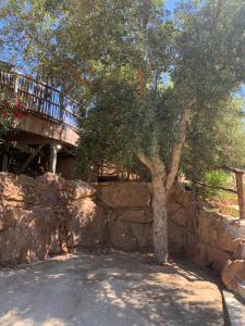 Maisons de vacances CASA JEANATA : photos des chambres