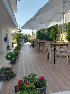 Vila Ervin Second Floor