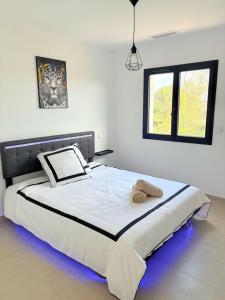 Villas Sumptuous villa pool jacuzzi : photos des chambres
