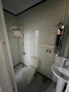 الشقق الفندقيه بالحديقه الدوليه العائليه