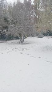 La casita en el parque