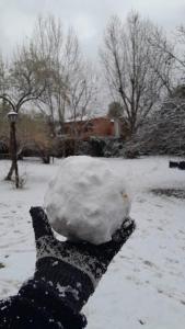 La casita en el parque