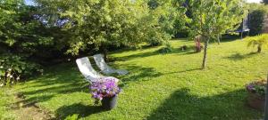 Maisons de vacances Le logis de la chouette : photos des chambres