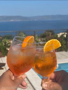 Vila Istra-Pavincica