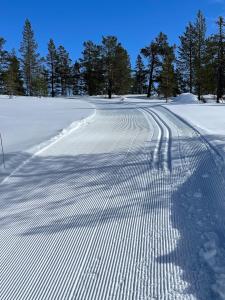New Mountain Cabin in Trysil Knuts Fjellworld