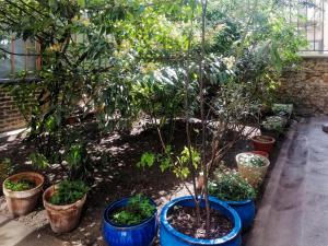 Beautifully renovated 17th Paris apartment