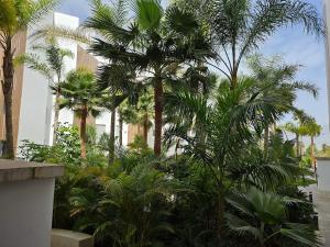 New! Apartment in Motril