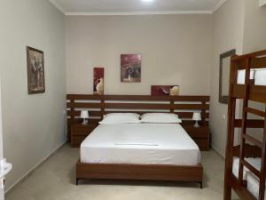 Vila Xhani