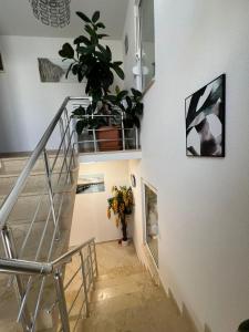 Apartments Edona
