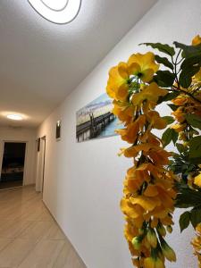 Apartments Edona